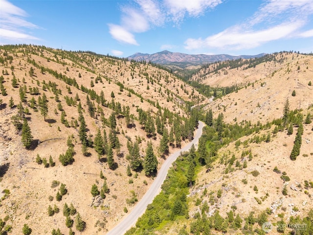 3LOT Mud Creek Rd, Entiat, WA 98822 - photo 27
