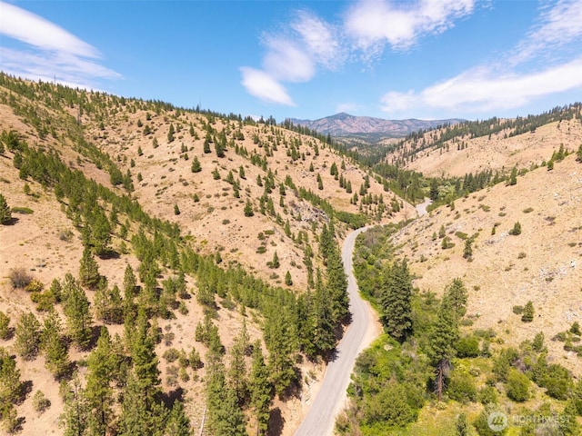 3LOT Mud Creek Rd, Entiat, WA 98822 - photo 28