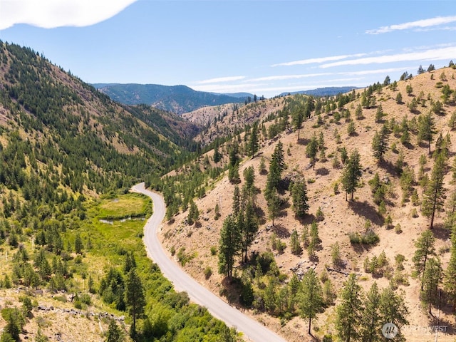 3LOT Mud Creek Rd, Entiat, WA 98822 - photo 29
