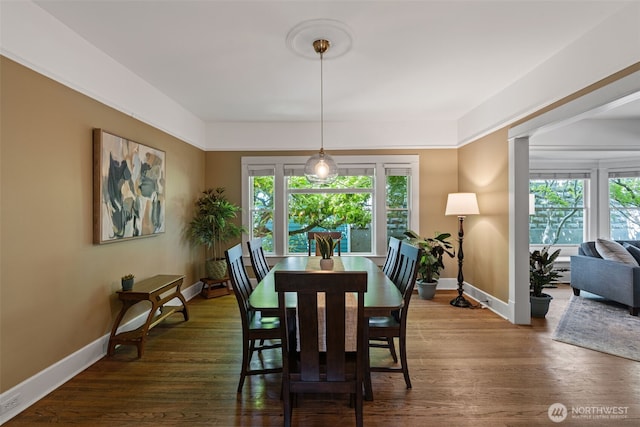 208 N Yakima, Tacoma, WA 98403 - dining room featuring plenty of natural light and dark wood-style flooring