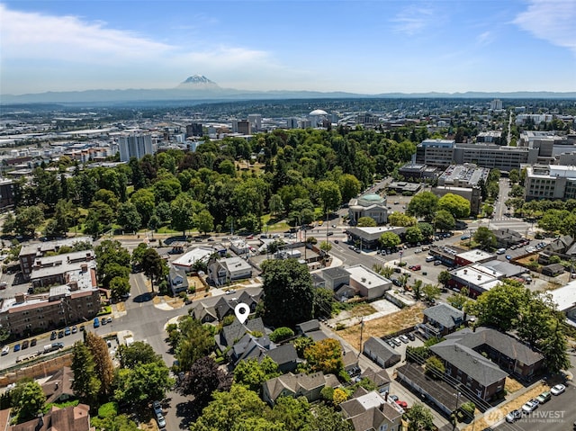 208 N Yakima, Tacoma, WA 98403 - view of urban area with mountains