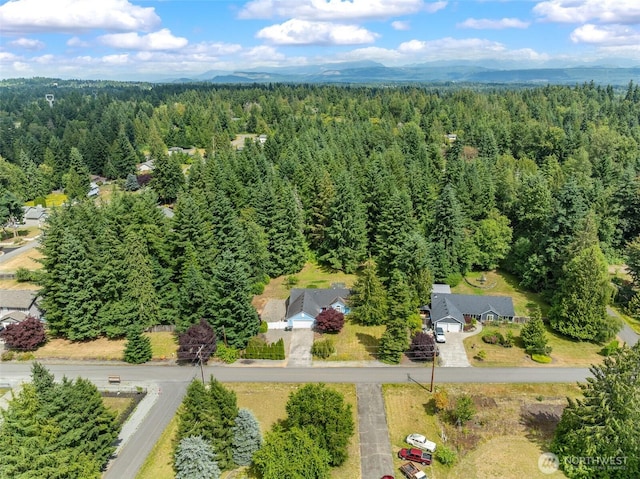 27507 72nd Ave E, Graham, WA 98338 - photo 36
