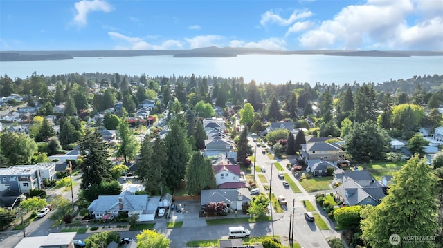 3711 SW Webster, Seattle, WA 98126 - aerial view of residential area with a nearby body of water