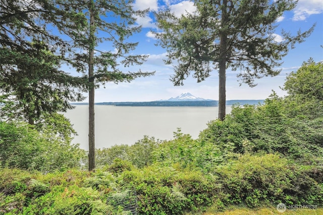 10125 Totem Way, Anderson Island, WA 98303 - water view featuring a mountainous background