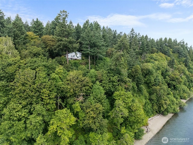10125 Totem Way, Anderson Island, WA 98303 - aerial view of a heavily wooded area and a large body of water