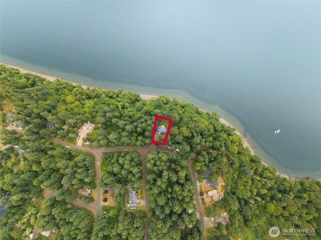 10125 Totem Way, Anderson Island, WA 98303 - view of property location with property parcel outlined