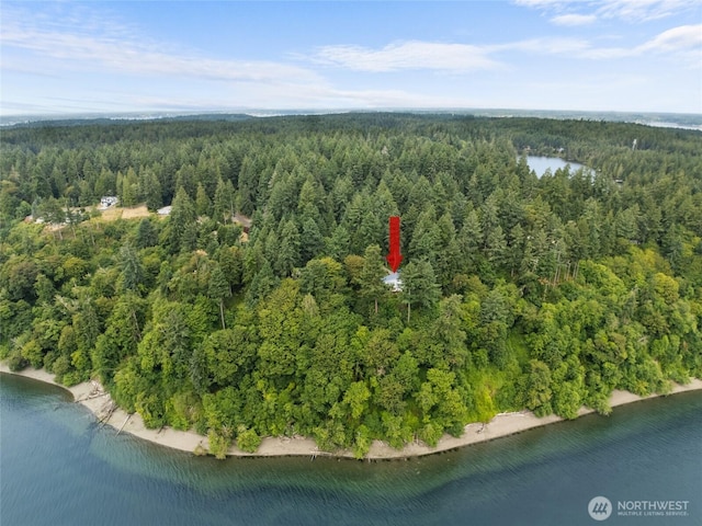 10125 Totem Way, Anderson Island, WA 98303 - drone / aerial view of a heavily wooded area and a large body of water