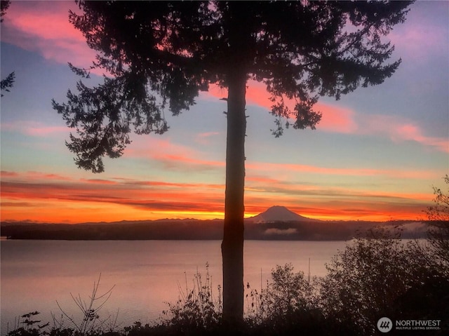 10125 Totem Way, Anderson Island, WA 98303 - water view with a mountainous background