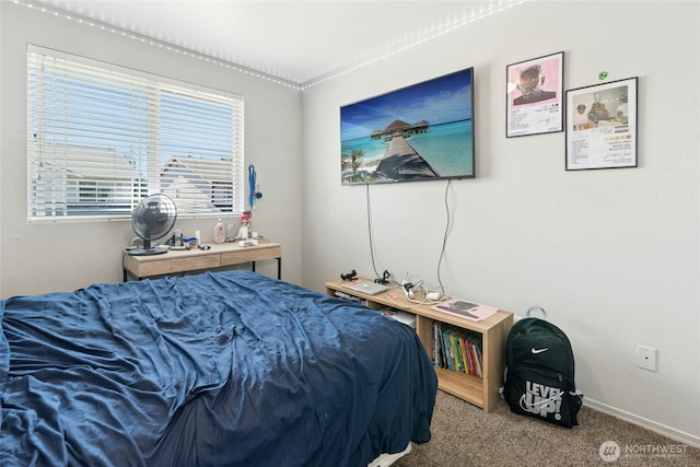 10421 19th Ave SE, Everett, WA 98208 - carpeted bedroom with baseboards