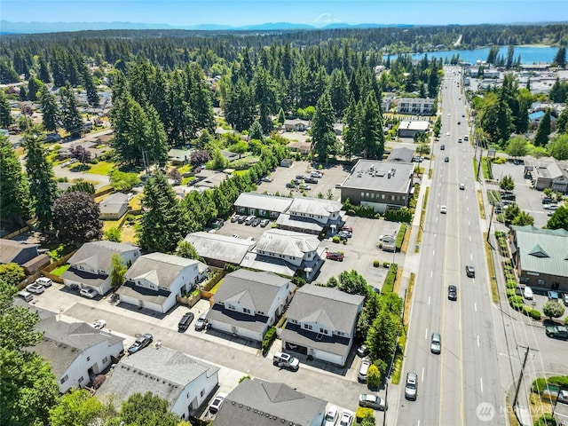 10421 19th Ave SE, Everett, WA 98208 - drone / aerial view of a heavily wooded area and a large body of water