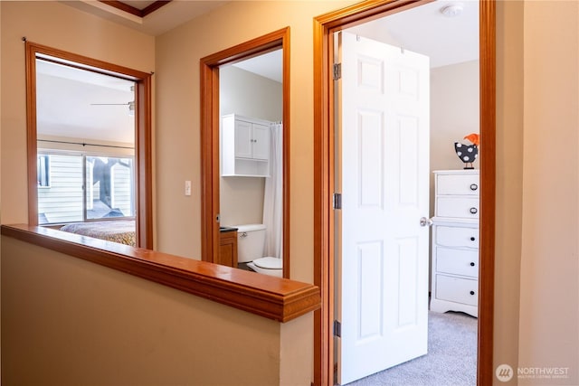 12723 35th Ave NE Unit B, Seattle, WA 98125 - hallway with carpet