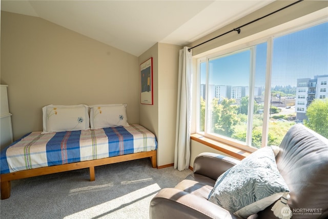 12723 35th Ave NE Unit B, Seattle, WA 98125 - bedroom with carpet floors, a city view, and vaulted ceiling