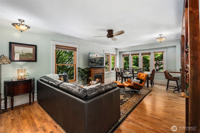 503 12th Ave E, Seattle, WA 98102 - living room with a ceiling fan, light wood-style floors, and a warm lit fireplace