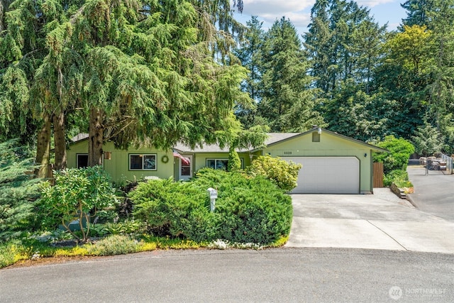 5528 206th Street Ct E, Spanaway, WA 98387 - photo 3