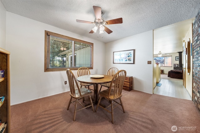 5528 206th Street Ct E, Spanaway, WA 98387 - photo 12