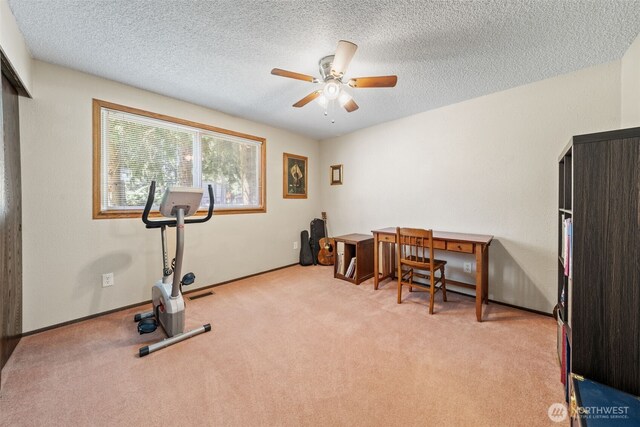 5528 206th Street Ct E, Spanaway, WA 98387 - photo 18