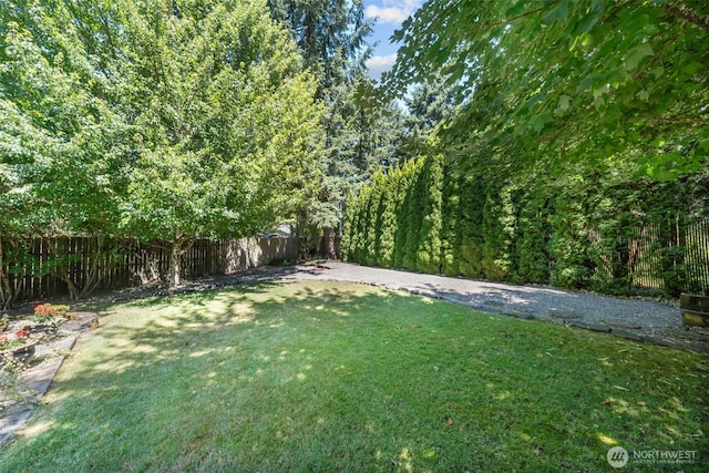 5528 206th Street Ct E, Spanaway, WA 98387 - photo 29