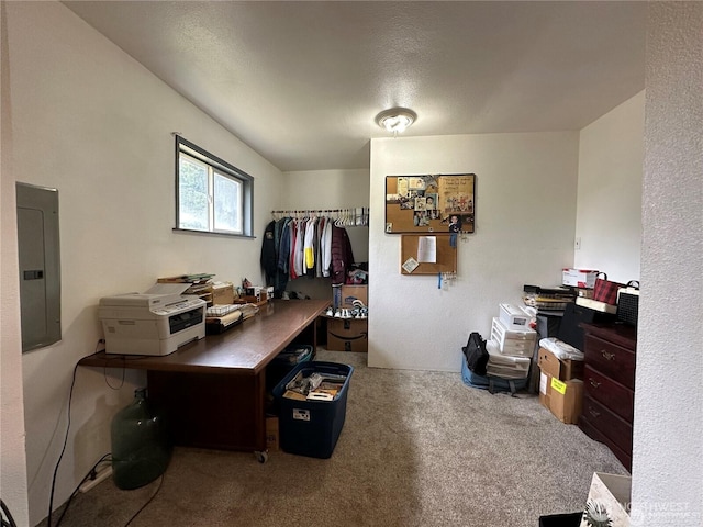 715 Copalis Beach Rd, Copalis Beach, WA 98535 - carpeted home office featuring electric panel