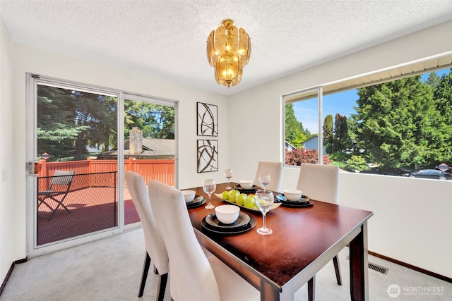 13009 111th Pl NE, Kirkland, WA 98034 - photo 13