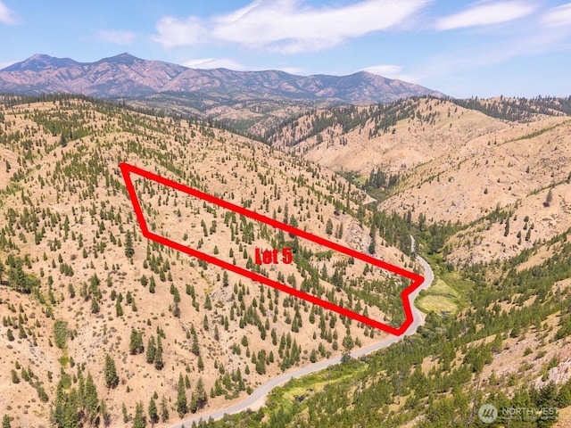5LOT Mud Creek Rd, Entiat, WA 98822 - photo 1
