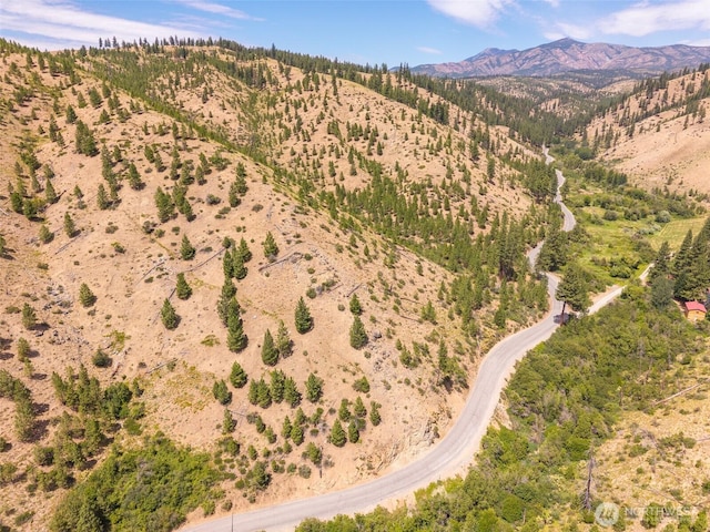 5LOT Mud Creek Rd, Entiat, WA 98822 - photo 8