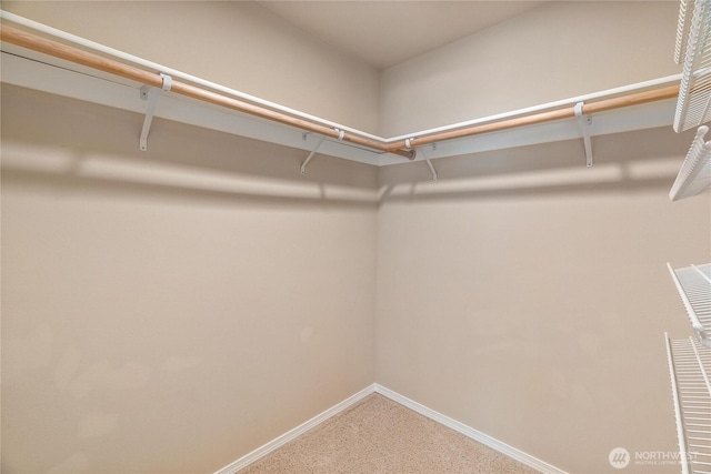 932 Tipsoo Loop N, Rainier, WA 98576 - walk in closet with carpet floors