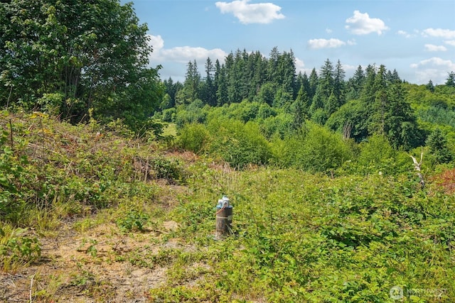 1830 Hazel Dell Rd Lot 1, Castle Rock, WA 98611