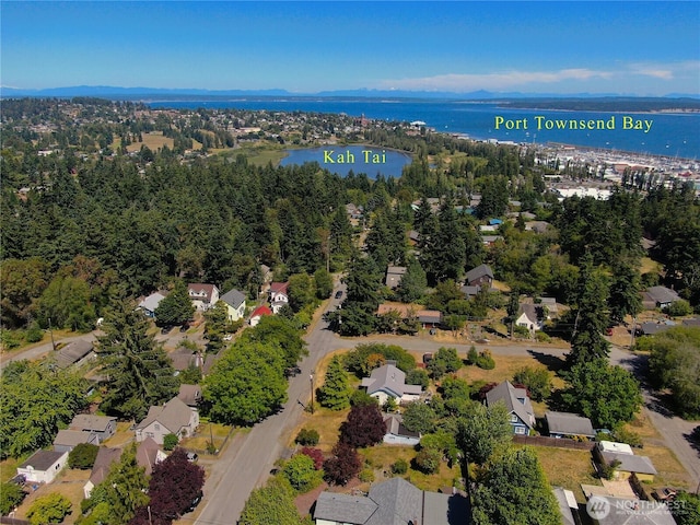 1229 14th St, Port Townsend, WA 98368 - aerial overview of property's location with a large body of water and nearby suburban area