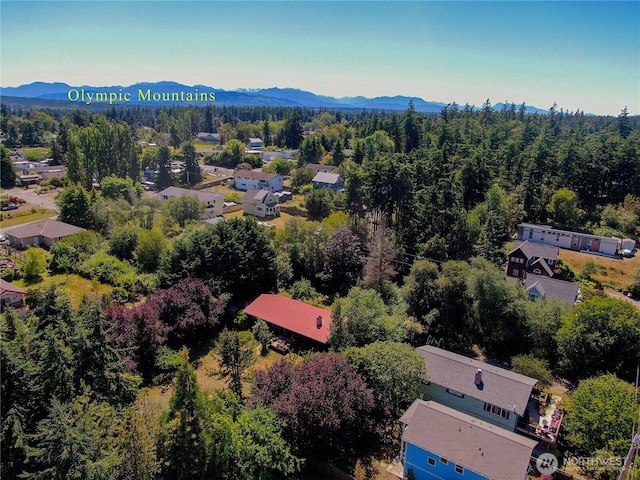 1229 14th St, Port Townsend, WA 98368 - bird's eye view of a mountain backdrop and a heavily wooded area