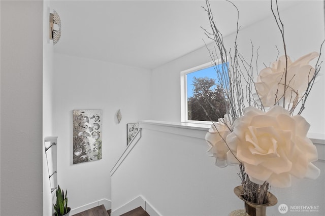 8254 Breeze Loop, Blaine, WA 98230 - detailed view of baseboards