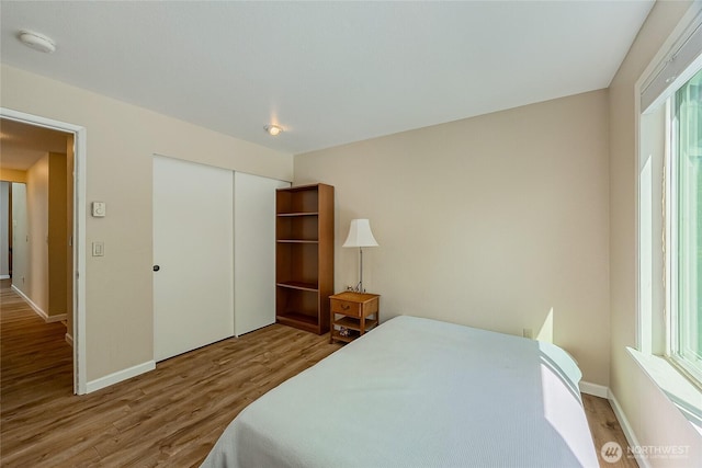 4164 Factoria Blvd SE Unit B11, Bellevue, WA 98006 - bedroom with wood finished floors and a closet