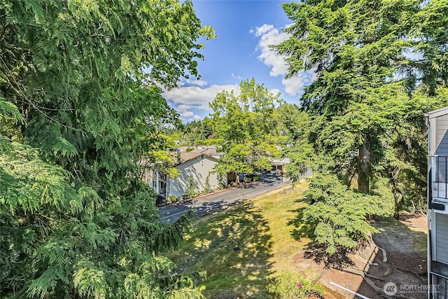 4164 Factoria Blvd SE Unit B11, Bellevue, WA 98006 - view of yard
