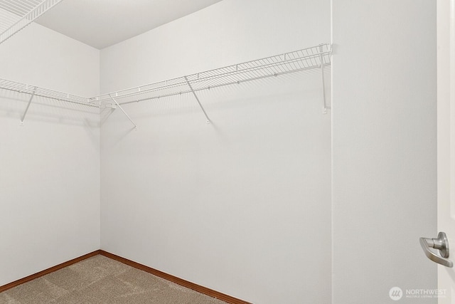 18214 97th Avenue Ct E, Puyallup, WA 98375 - spacious closet with carpet flooring