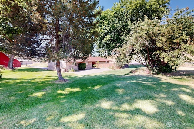 238 Patit Rd, Dayton, WA 99328 - view of green lawn