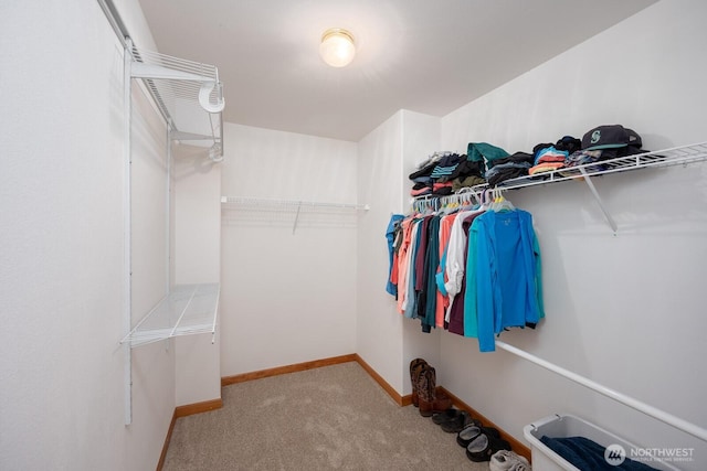 2207 W Depot Springs Rd, Spangle, WA 99031 - spacious closet with carpet flooring