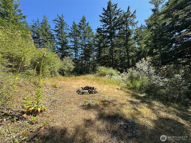 7379 Hideaway Ln, Anacortes, WA 98221 - view of woods
