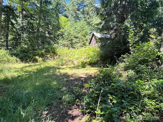7379 Hideaway Ln, Anacortes, WA 98221 - view of yard featuring a view of trees