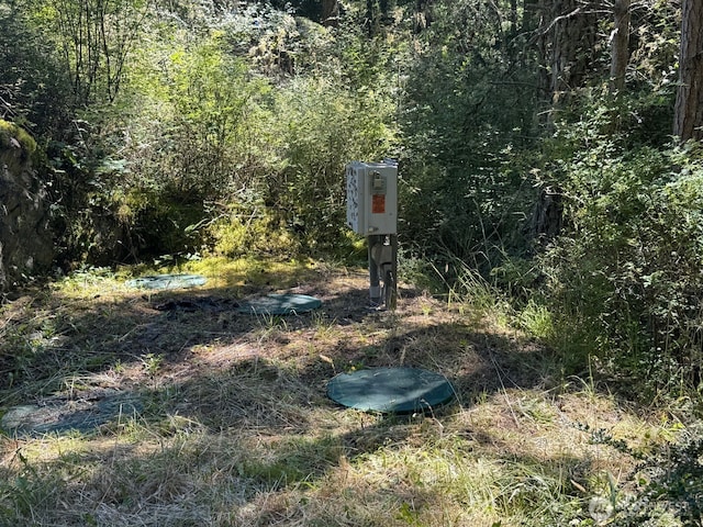 7379 Hideaway Ln, Anacortes, WA 98221 - exterior view of a forest
