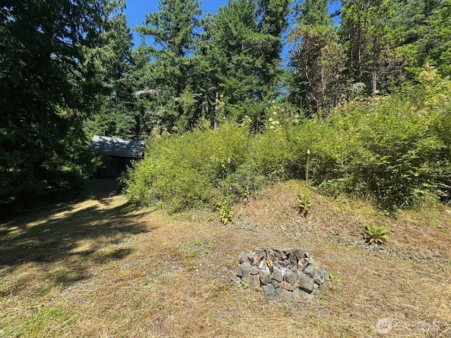 7379 Hideaway Ln, Anacortes, WA 98221 - view of yard with a forest view