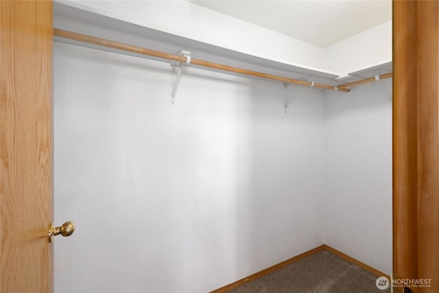 101 Twin Lakes Rd, Cle Elum, WA 98922 - walk in closet featuring carpet flooring