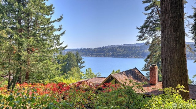 9411 SE 54th St, Mercer Island, WA 98040 - water view with a forest