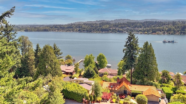 9411 SE 54th St, Mercer Island, WA 98040 - water view featuring a heavily wooded area