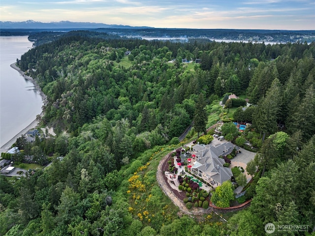 1022 7th Ct, Fox Island, WA 98333 - drone / aerial view of a forest and a nearby body of water