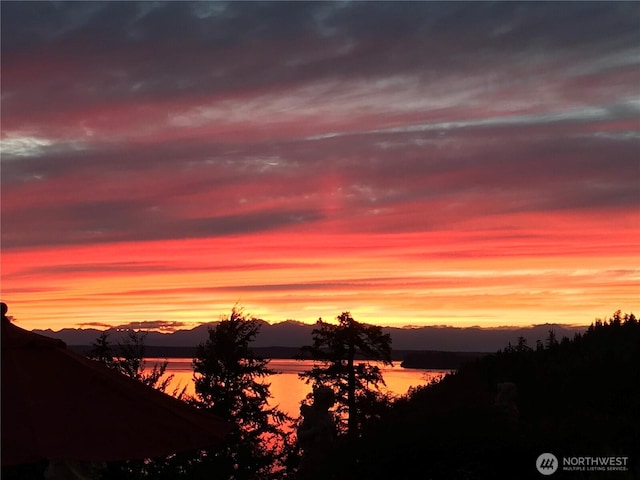 1022 7th Ct, Fox Island, WA 98333 - water view