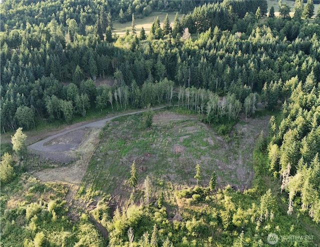 191 Kjesbu Rd, Mossyrock, WA 98585 - photo 4