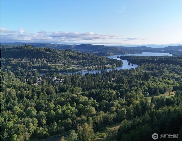 191 Kjesbu Rd, Mossyrock, WA 98585 - photo 3