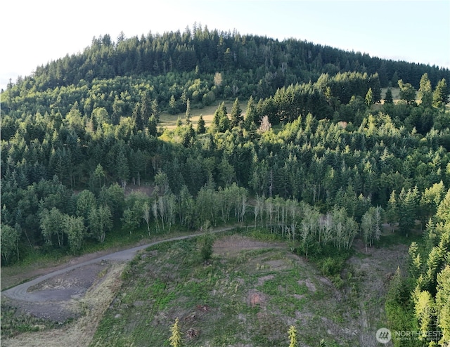 191 Kjesbu Rd, Mossyrock, WA 98585 - photo 5