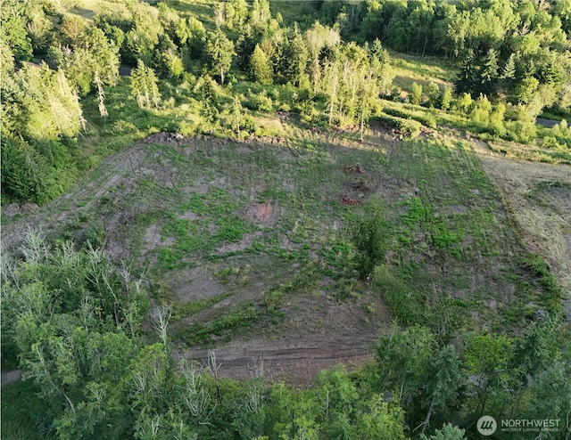 191 Kjesbu Rd, Mossyrock, WA 98585 - photo 6