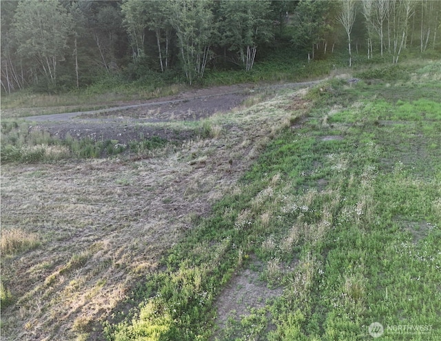 191 Kjesbu Rd, Mossyrock, WA 98585 - photo 7