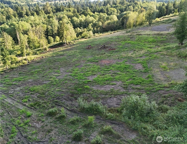191 Kjesbu Rd, Mossyrock, WA 98585 - photo 8